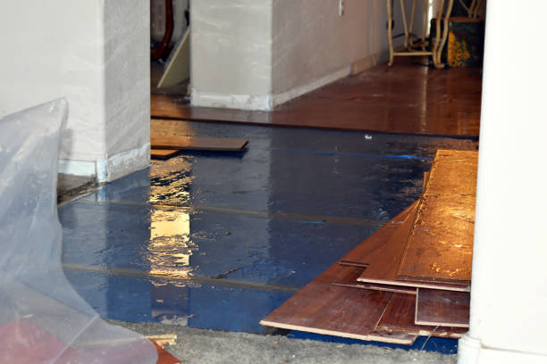 Professional Water Damage Restoration technician working in Brooklyn, IA
